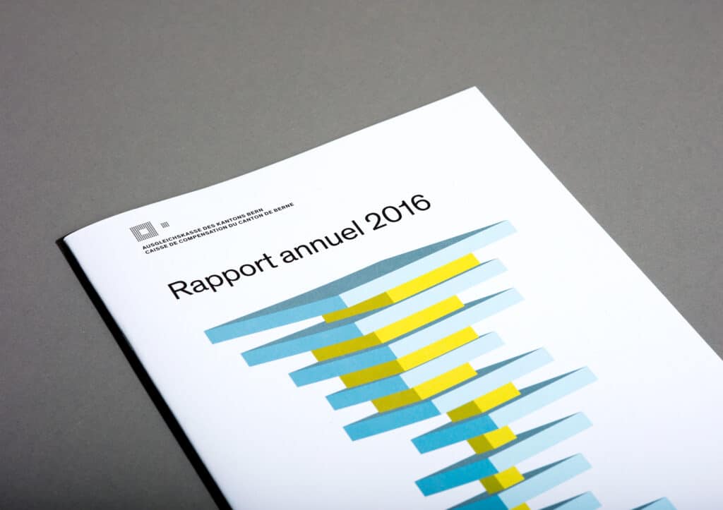 Rapport annuel 2016
